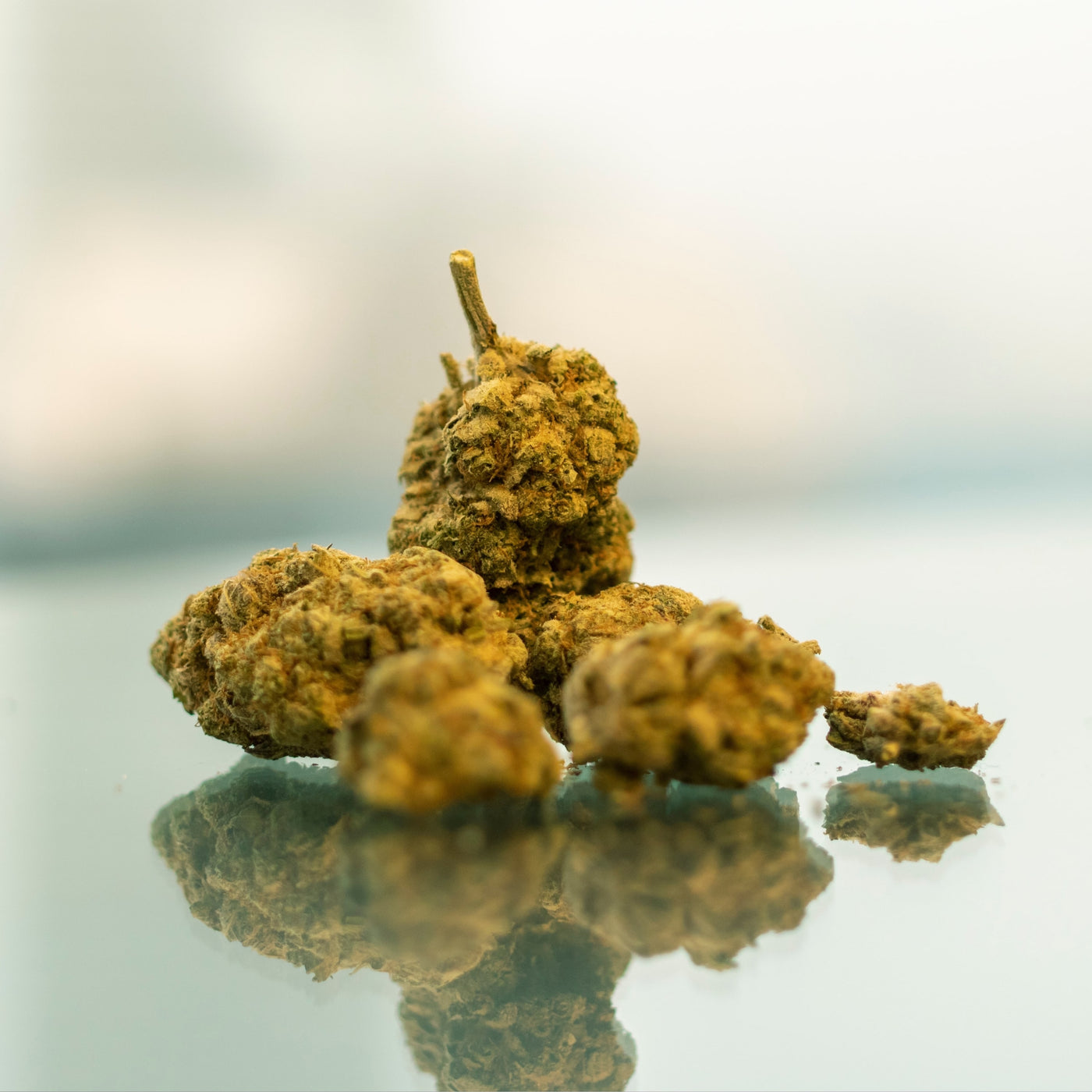 Qualität von CBD Blüten